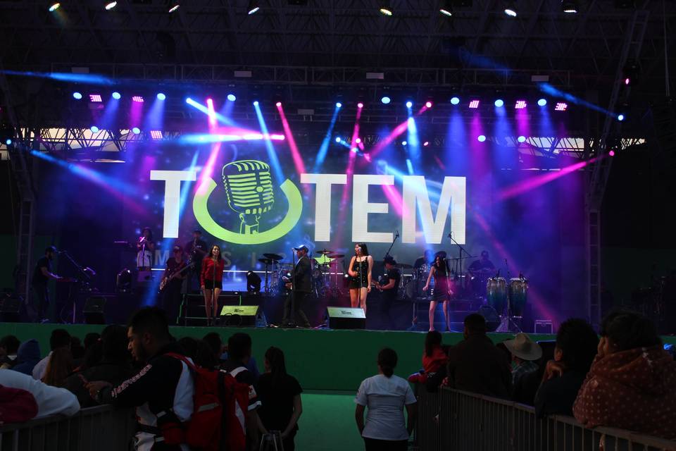 Totem music show fenapo 2018