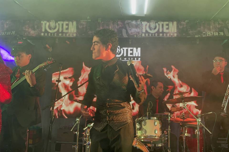 Totem music show