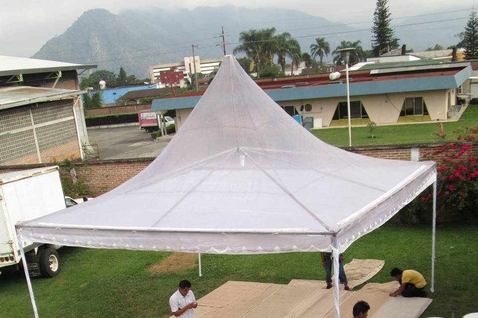 Carpa trasparente