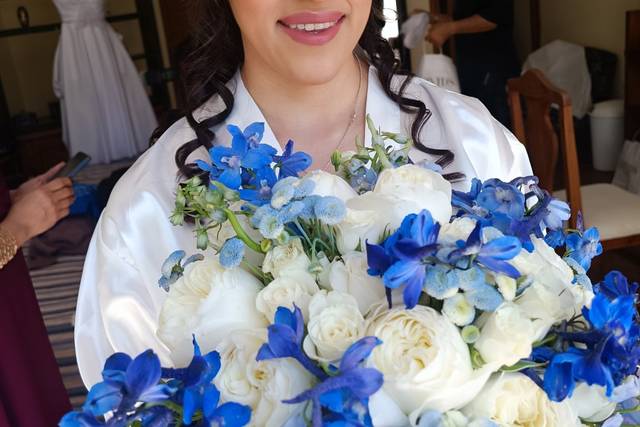 Linda novia