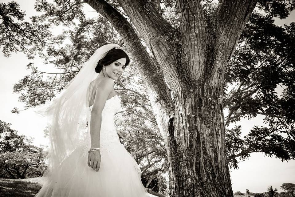 Luz sesion pre wedding