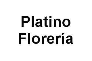 Platino Florería