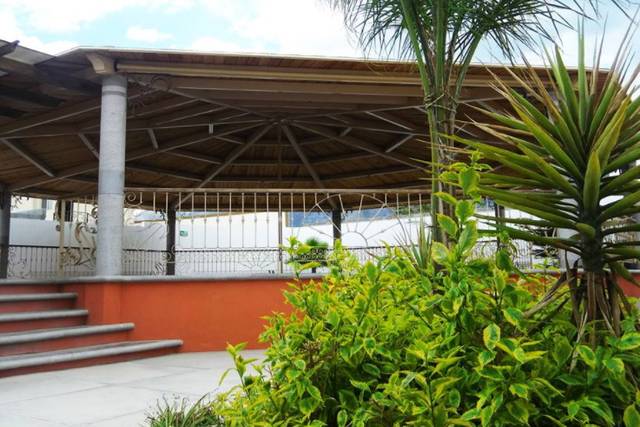 La palapa en su esplendor