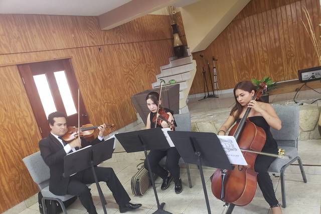 Música en vivo