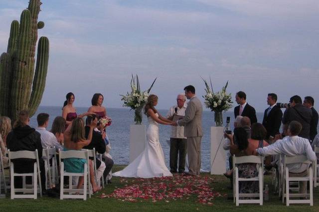 Bodas