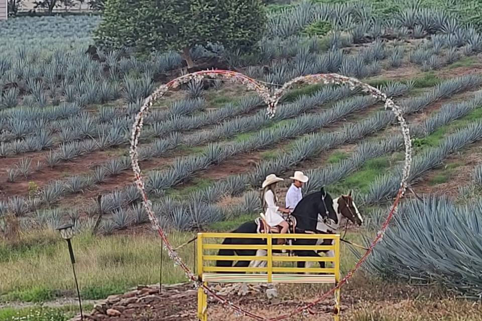 Cabalgata agavera