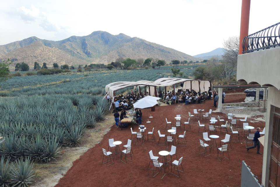 Boda Americana