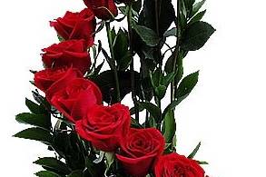 Flordeco