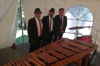 Marimba Fina Estampa