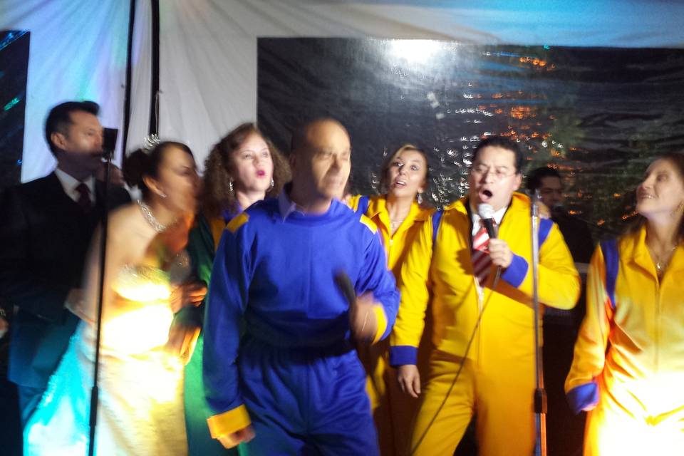 Caracterización timbiriche