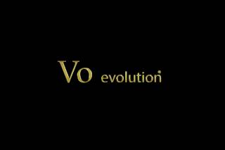 VO evolution logo