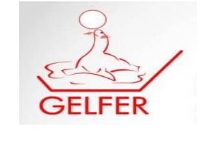 Salones De Fiestas Y Renta De Equipo Gelfer Logo