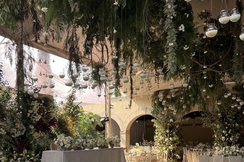 Bodas