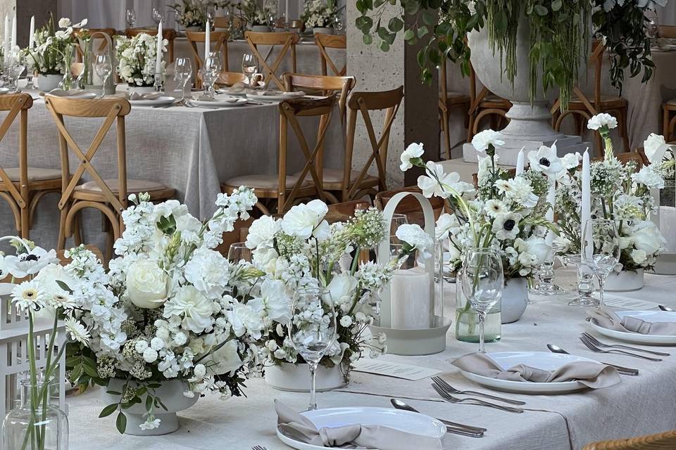Bodas