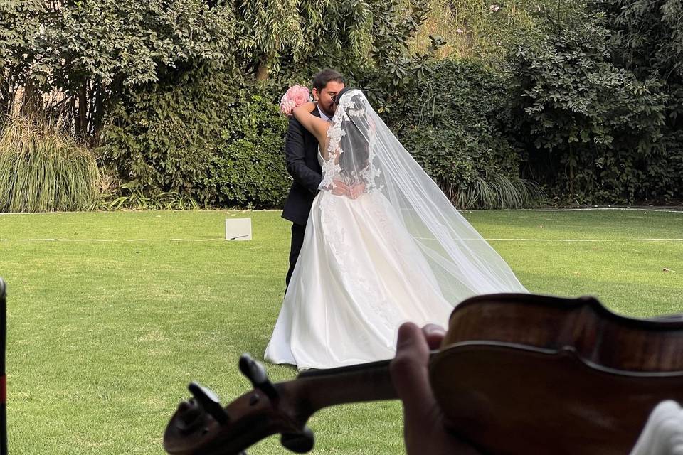 Novios