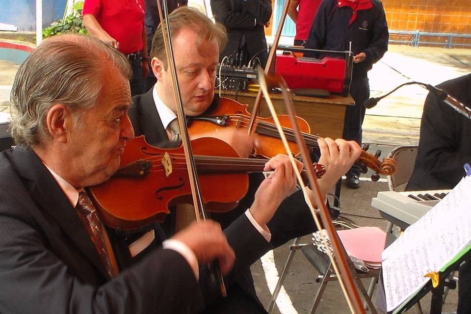 Violinistas