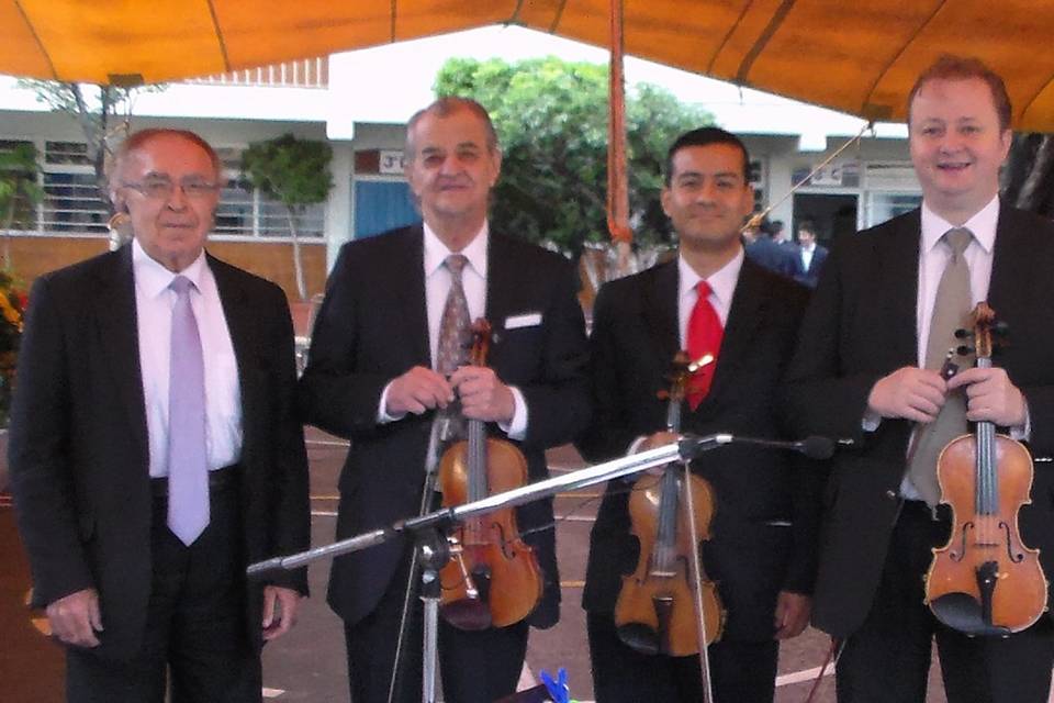 Grupo de Violinistas
