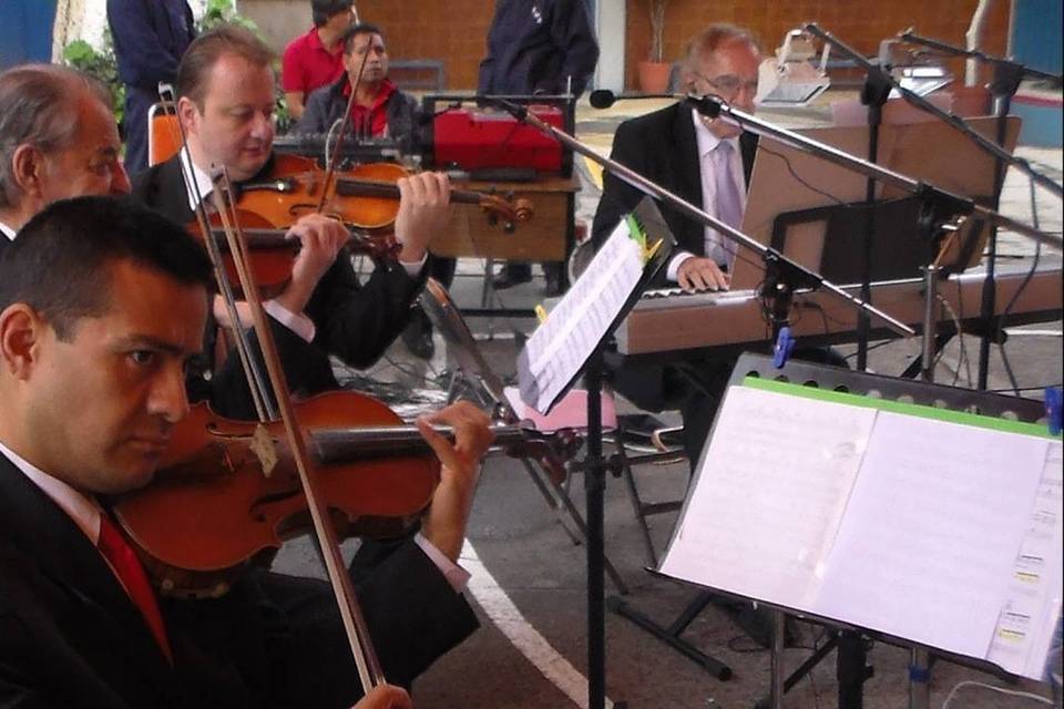 Agrupación de violinistas