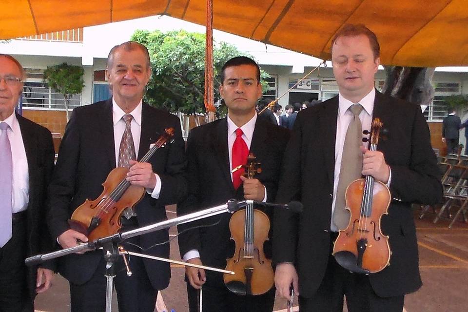 Violinistas y Pianista