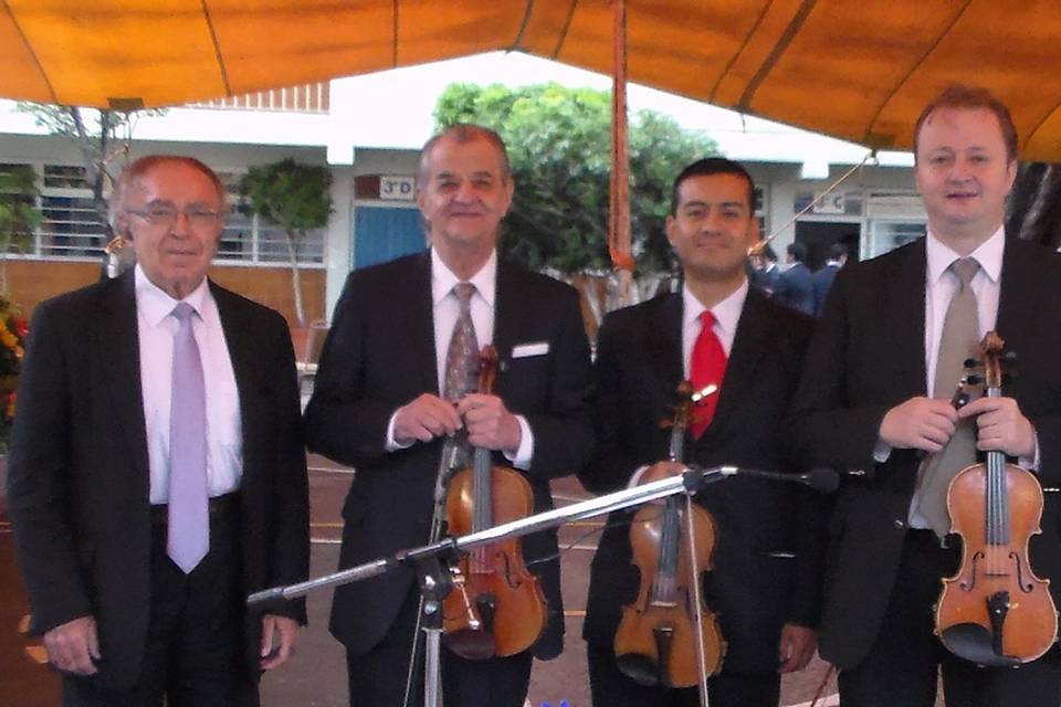 Cuarteto de cámara