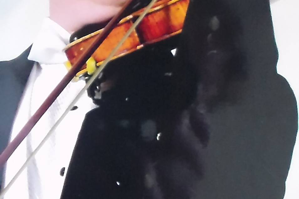 Violinista