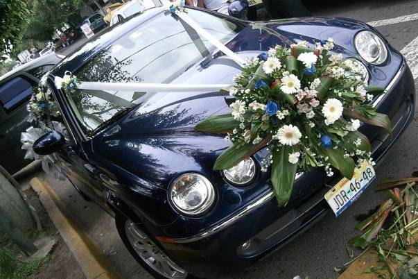 Decoración del coche