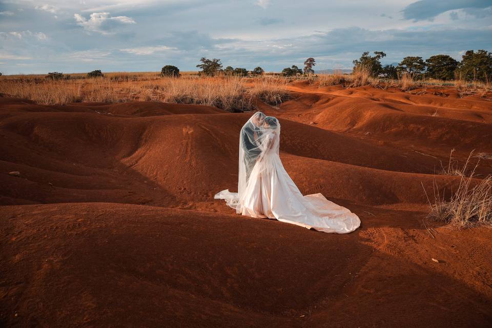 Novios bajo el velo de novia en medio del campo