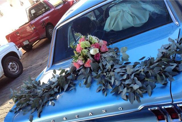 Decoración de carro