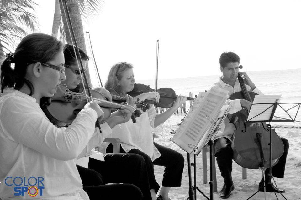 Cuarteto de cuerdas