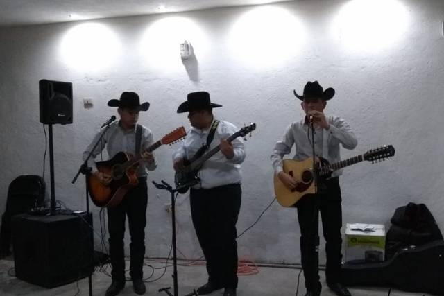 Música para su boda
