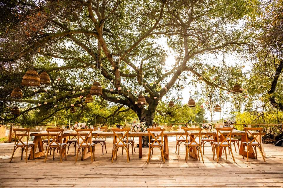 Boda al aire libre