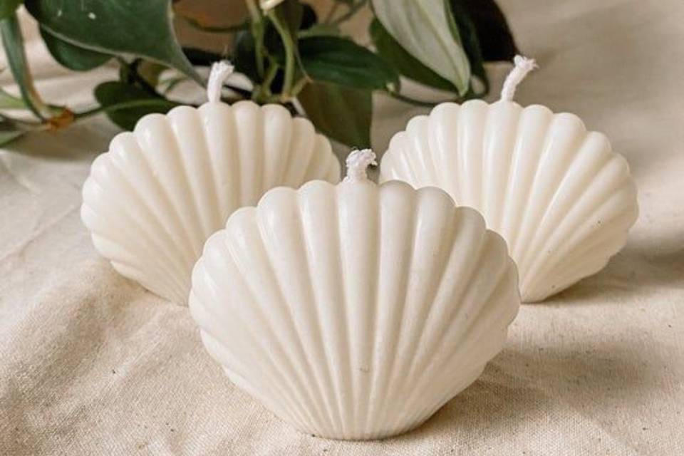 Velas de concha