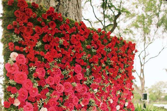 Floral wall