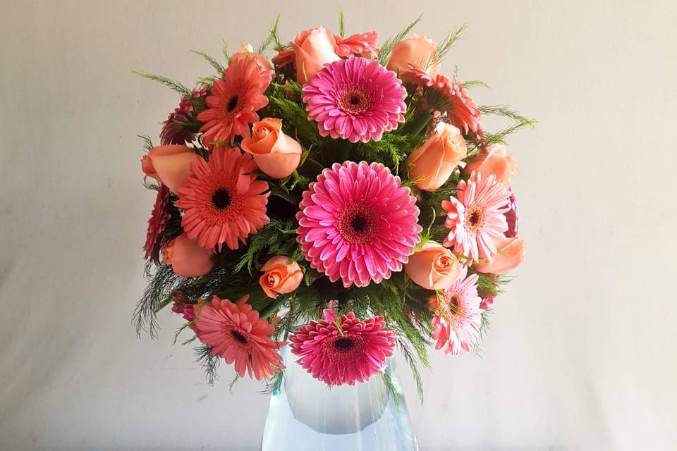Topacio Gerberas