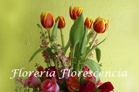 Florescencia