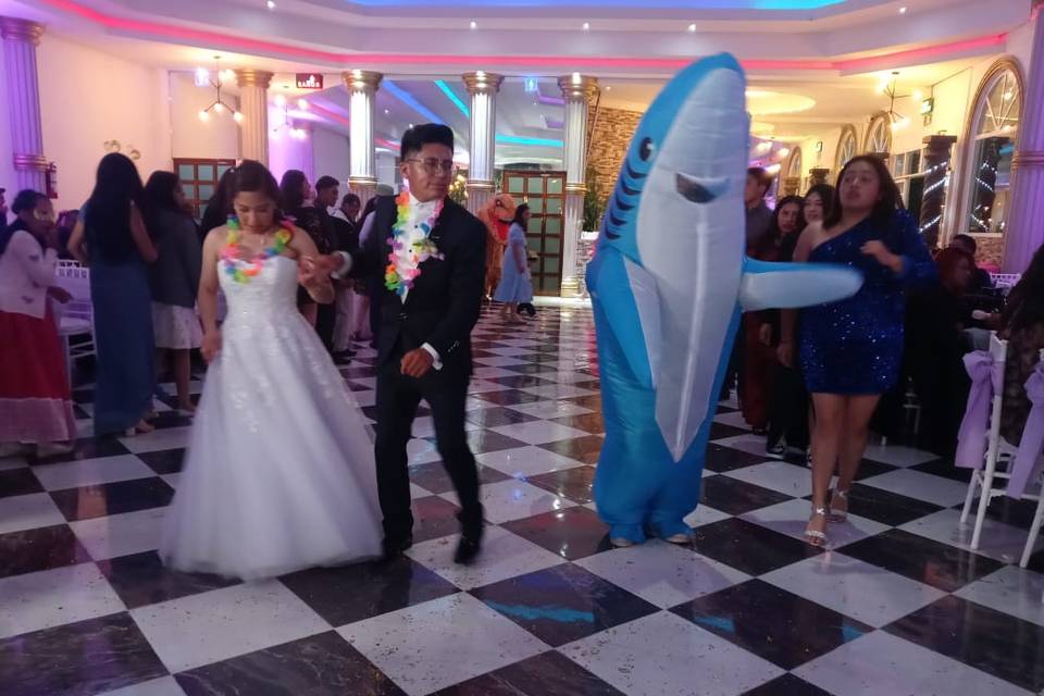 Grupo versátil para fiestas
