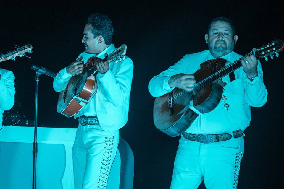 Mariachi