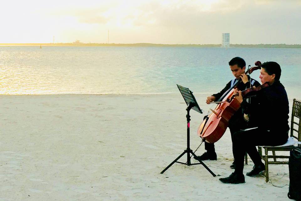 Violín y cello