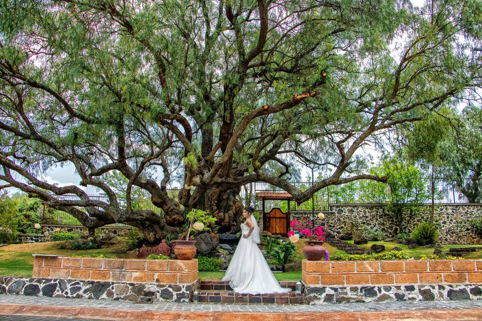 El árbol