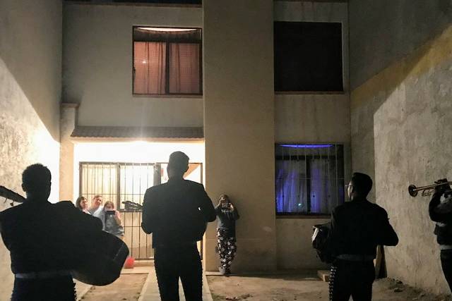 Mariachis profesionales