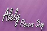 Alely logo