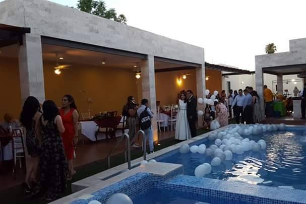 Videos de D Cache Eventos