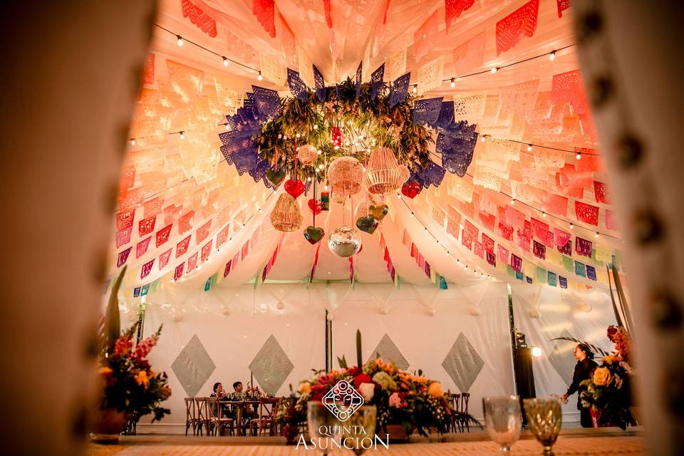 Boda I&P
