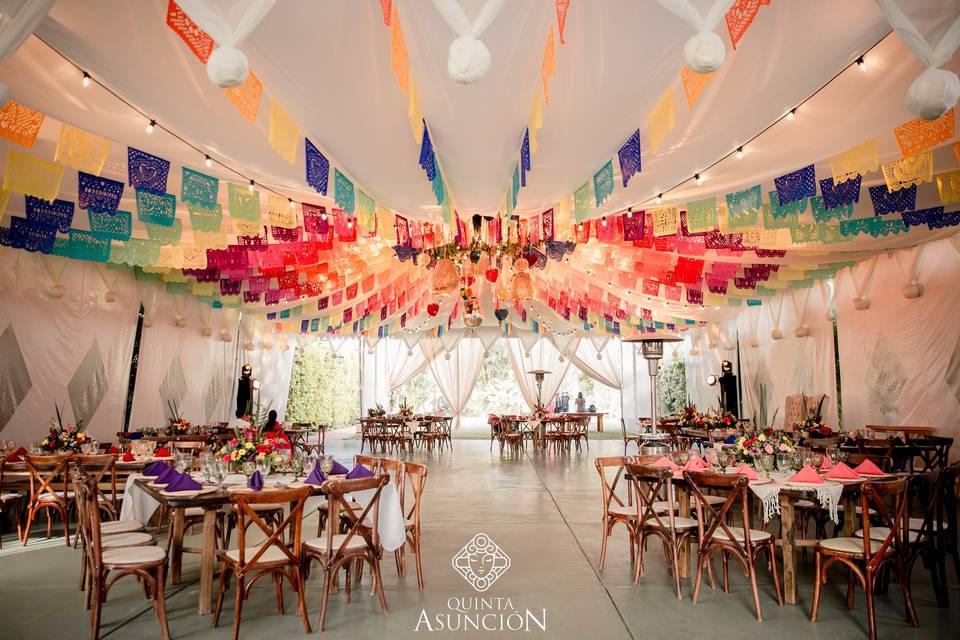 Boda I&P