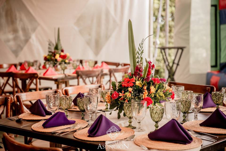 Boda I&P