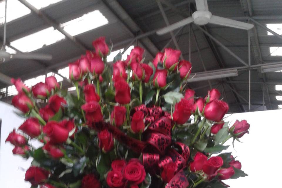 Rosas rojas