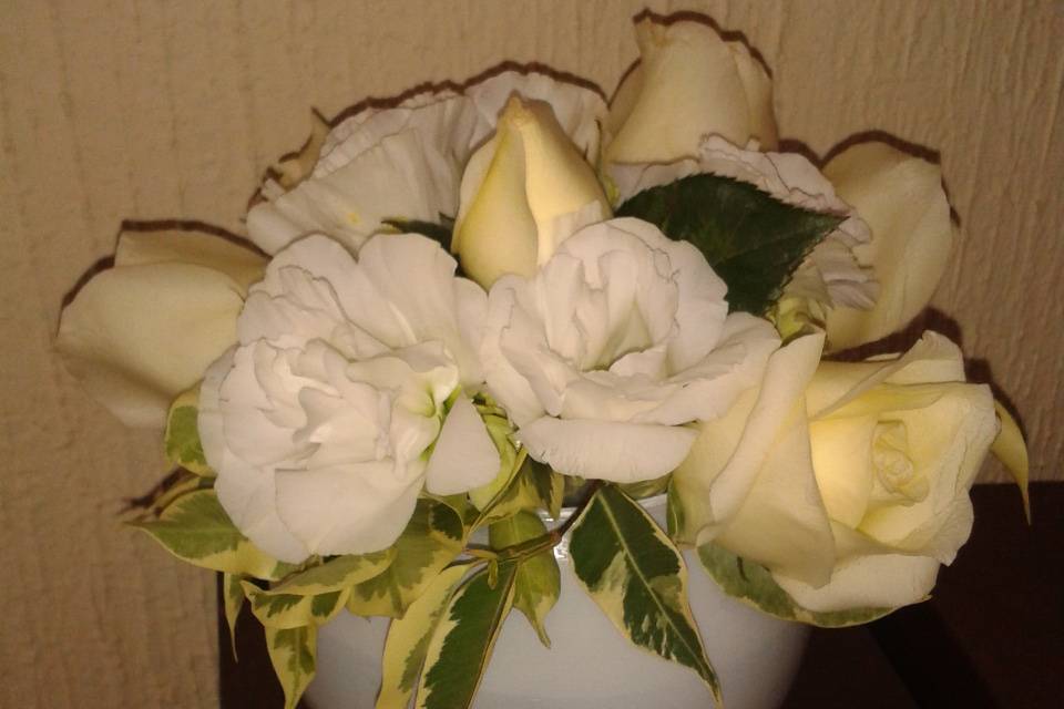 Rosas blancas