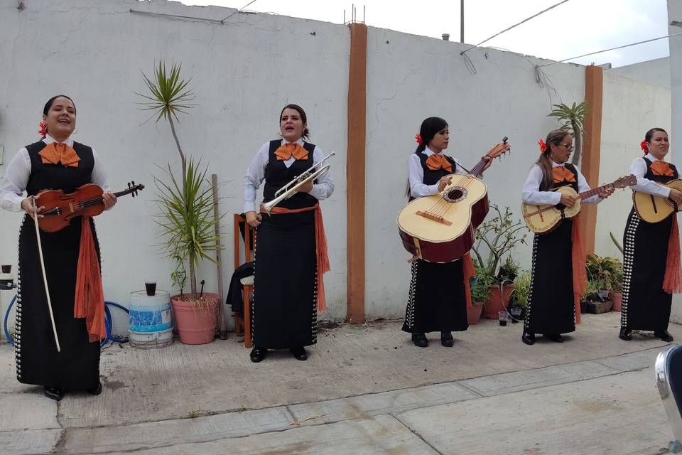 Mariachi Piel Morena