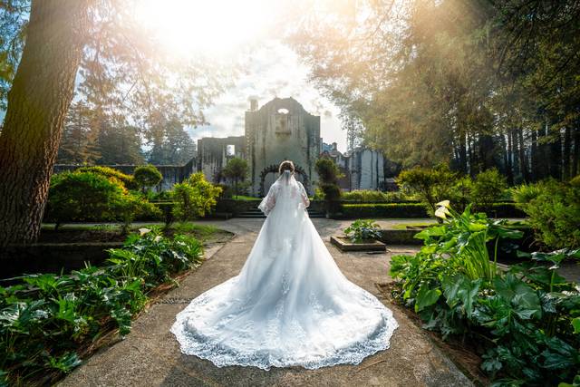 Desierto de los Leones