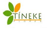 Tineke logo